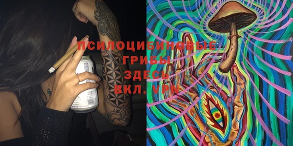PSILOCYBIN Абинск