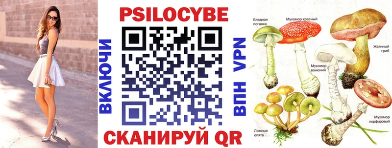 где продают наркотики  Ивангород  это какой сайт  Псилоцибиновые грибы прущие грибы 